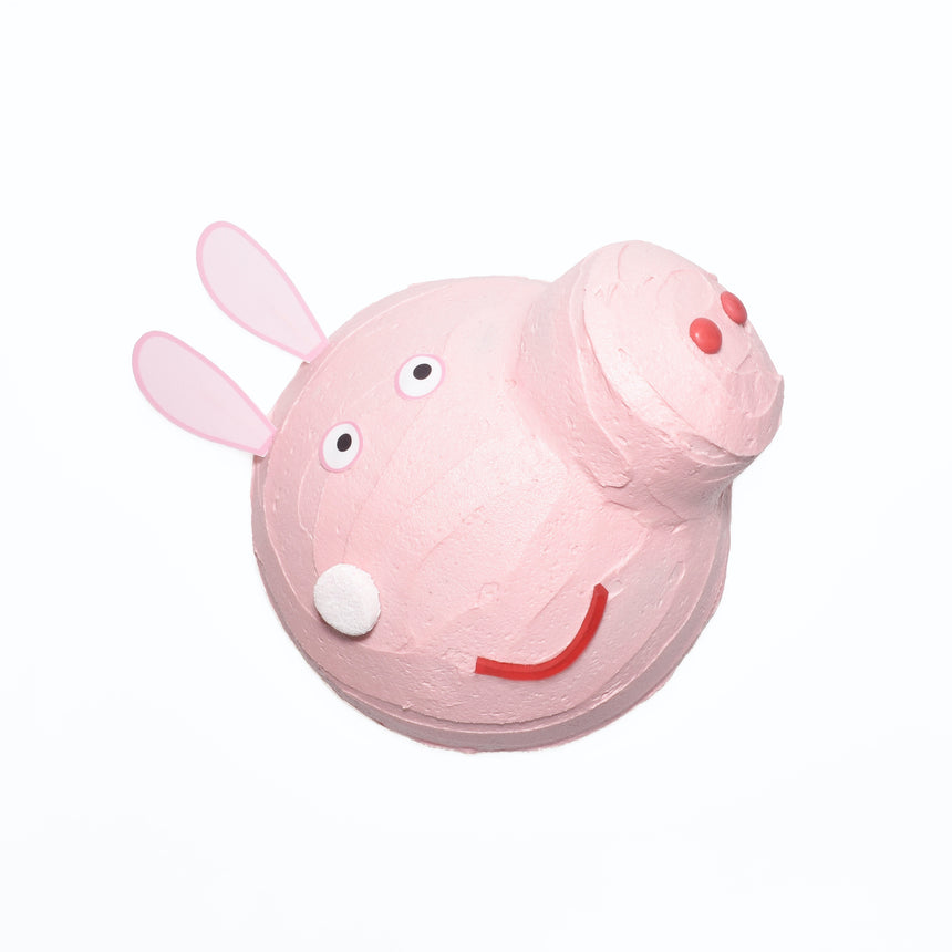 Pig Cake Decorating Set