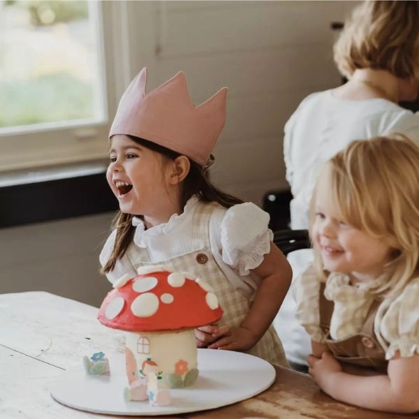 Fairy House Cake Decorating Set