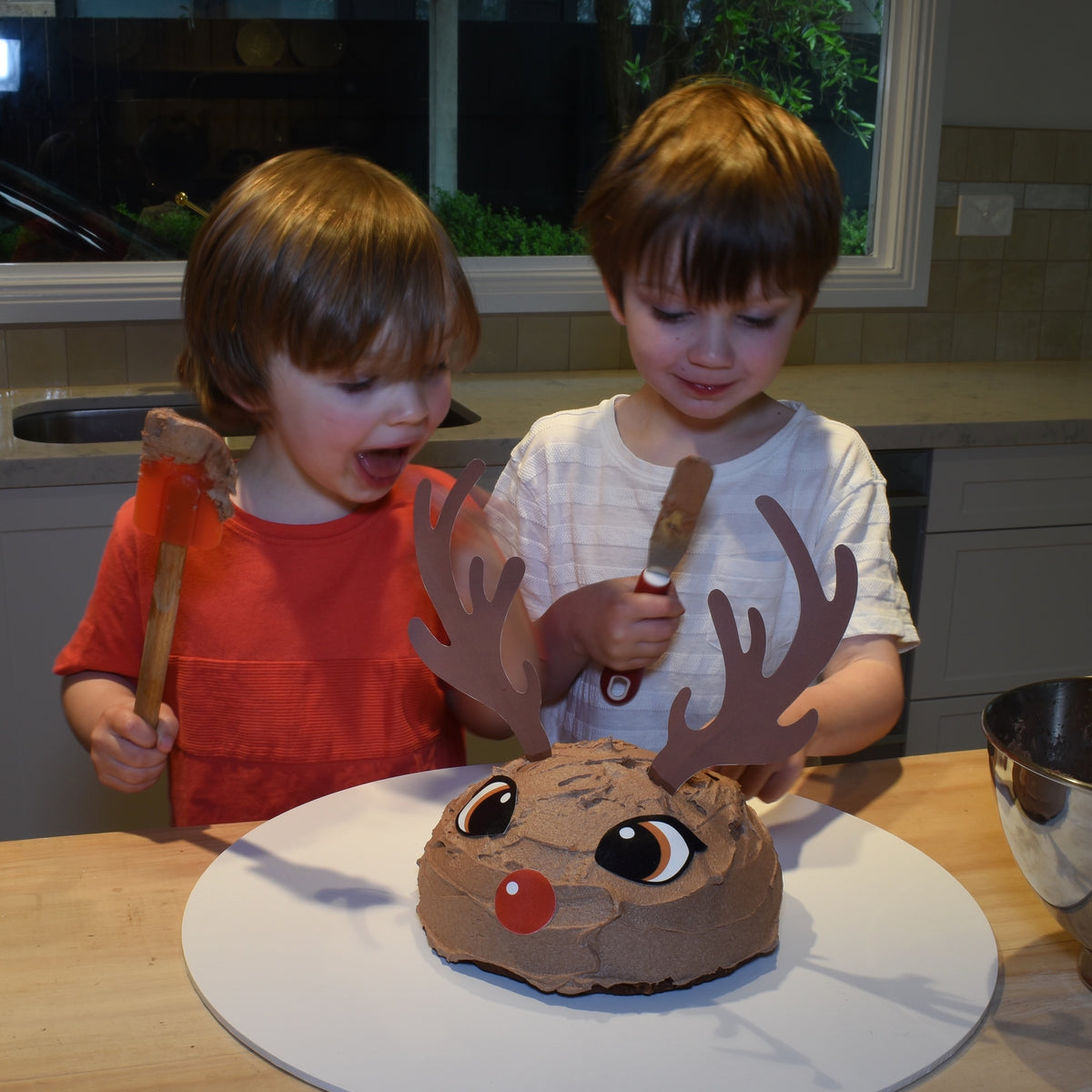 Reindeer Cake birthday cake — Shape Tins