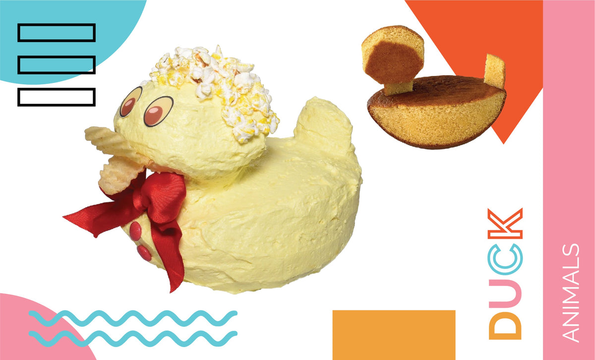 Duck Cake birthday cake — Shape Tins