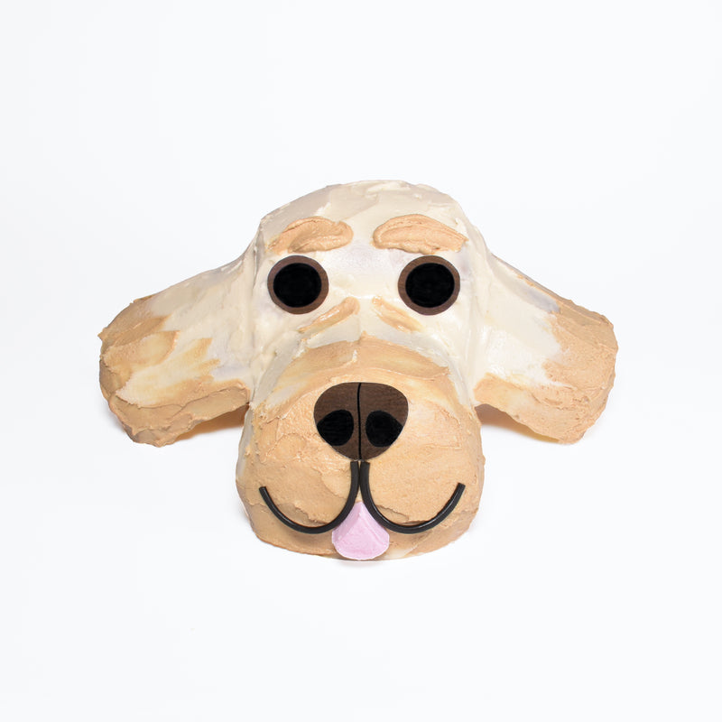 Dog Cake Decorating Set