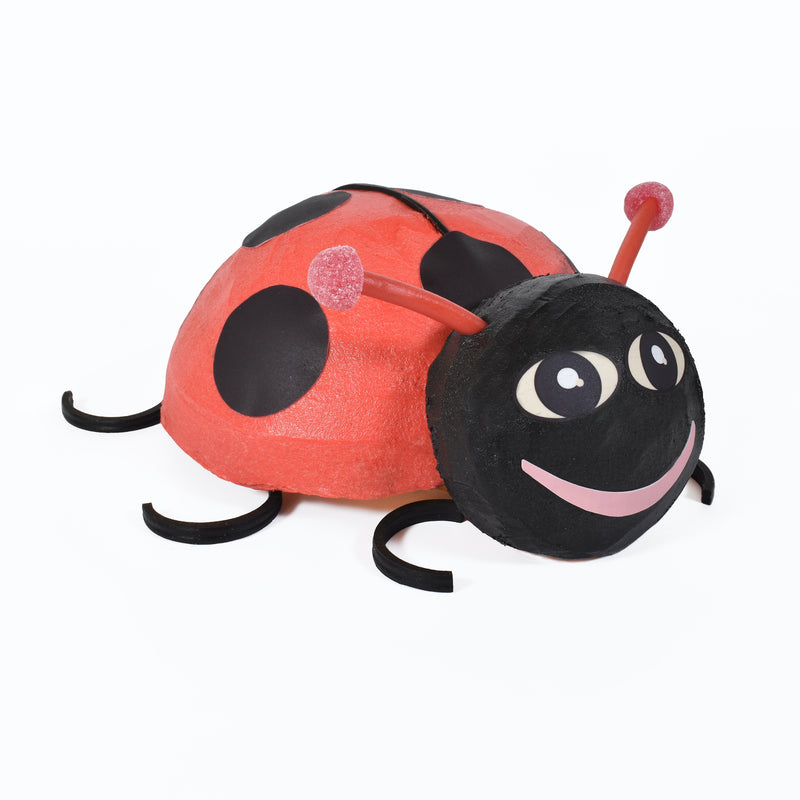 Ladybird Cake Decorating Set