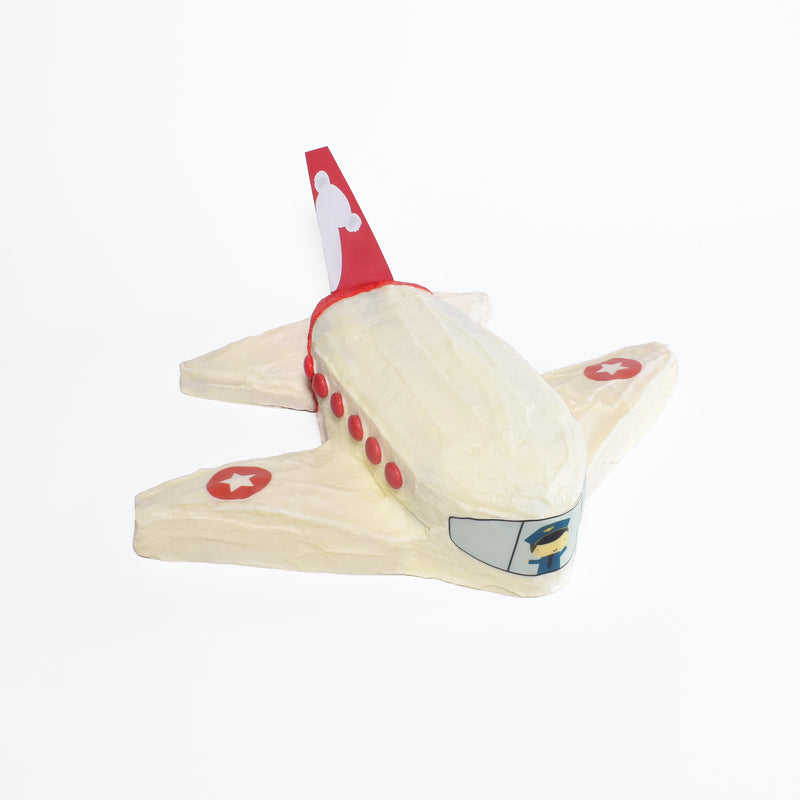 Plane Cake Decorating Set